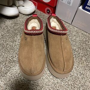 UGG TAZZ slippers/shoes